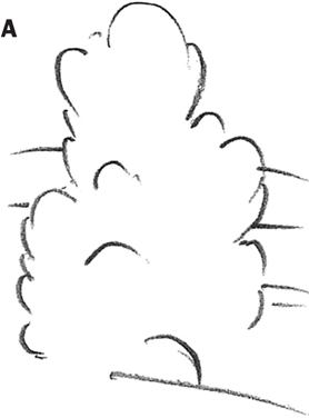 278x376 Trees - Safari Tree Drawing