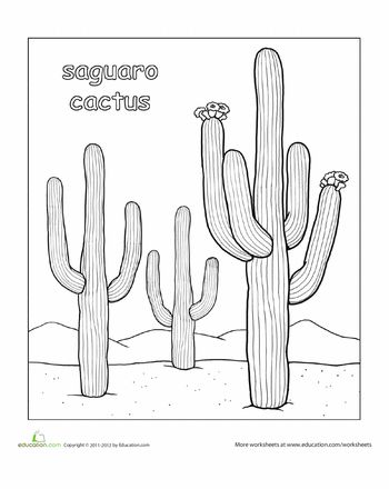350x440 color the saguaro cactus print cactus drawing, cactus pictures - Saguaro Cactus Drawing
