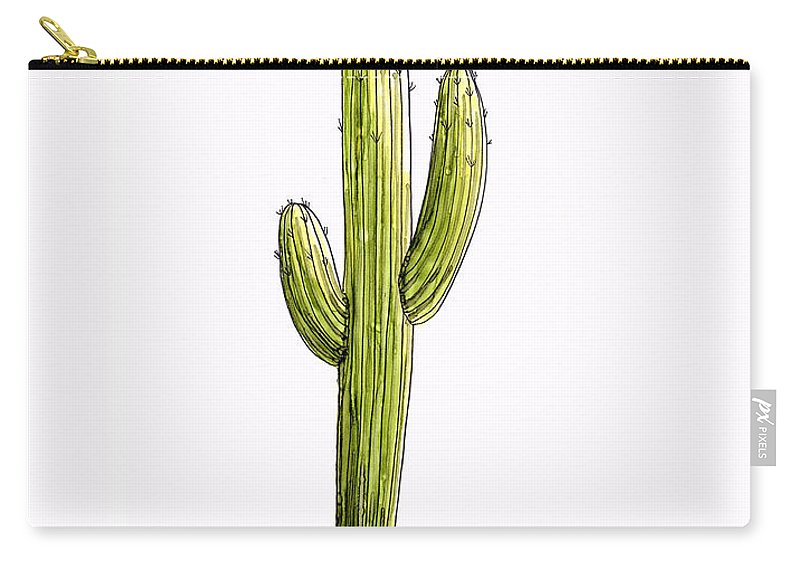 800x570 saguaro cactus carry all pouch for sale - Saguaro Cactus Drawing