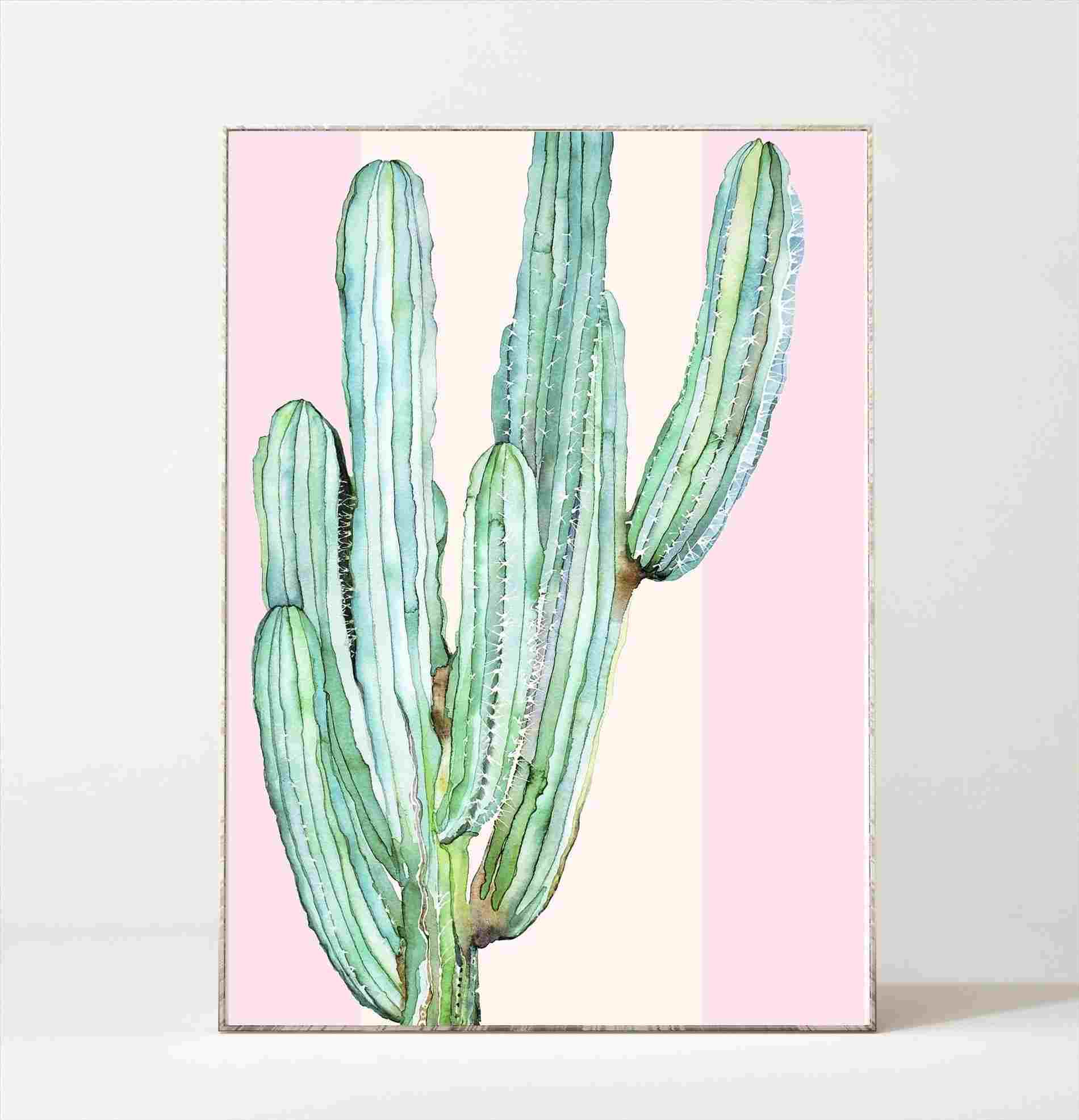 1900x1971 Drawn Saguaro Cactus Isolated On White Background Id Rhrawpixelcom - Saguaro Cactus Drawing