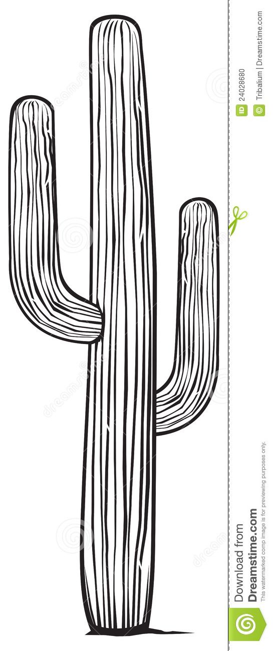 545x1300 image result for saguaro drawing tattoos drawings, cactus - Saguaro Drawing