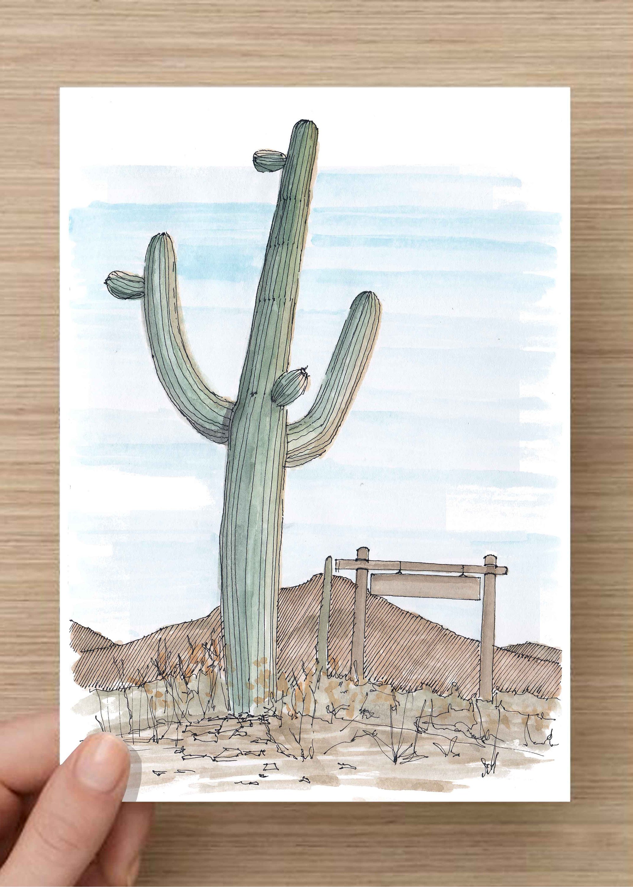 Saguaro Drawing at Explore collection of Saguaro