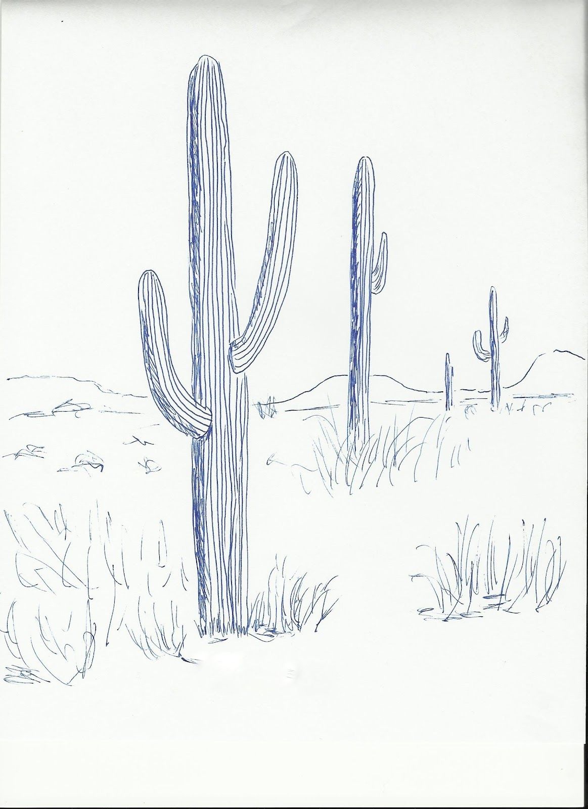 1163x1600 saguaro arms related keywords suggestions - Saguaro Drawing