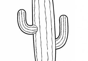 300x210 saguaro cactus drawing - Saguaro Drawing