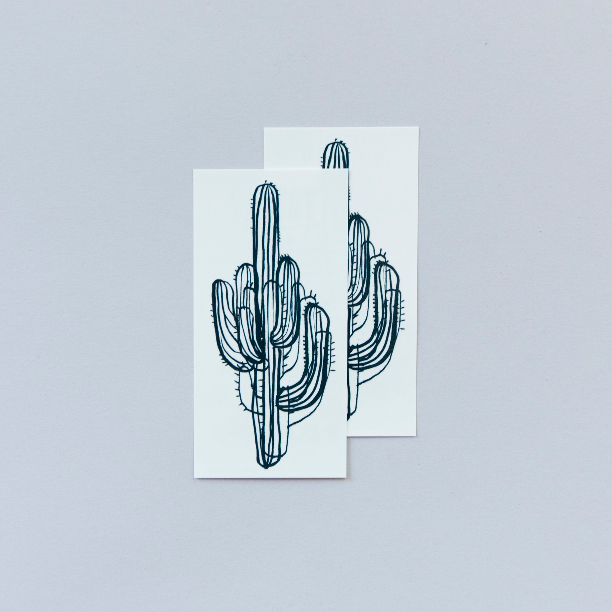 2048x2048 saguaro cactus - Saguaro Drawing