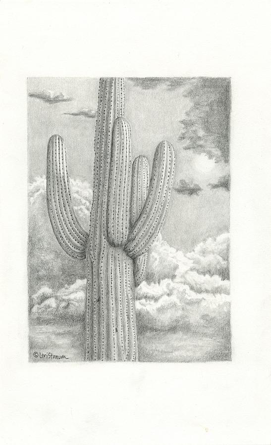 547x900 saguaro drawing - Saguaro Drawing