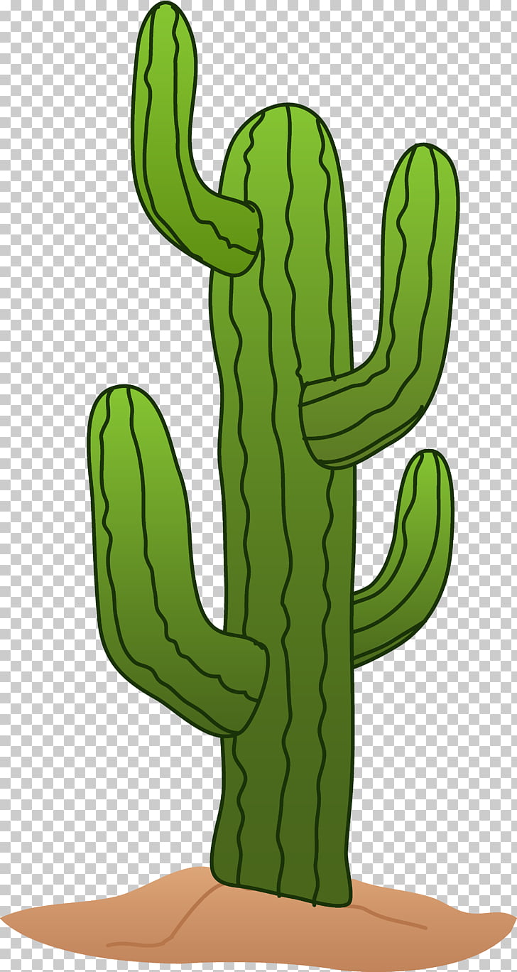 728x1368 saguaro png cliparts for free download uihere - Saguaro Drawing