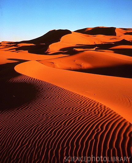 430x530 sand dunes amazing - Sahara Desert Drawing