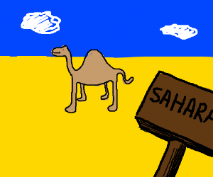 300x250 a camel in the sahara desert drawing - Sahara Desert Drawing