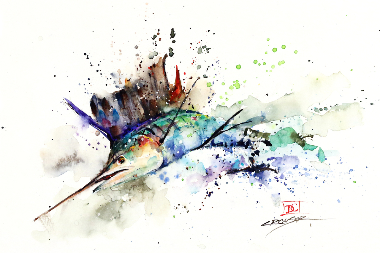 1280x853 Sailfish - Sailfish Drawing