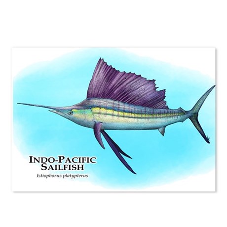 460x460 Sailfish Drawing Postcards - Sailfish Drawing