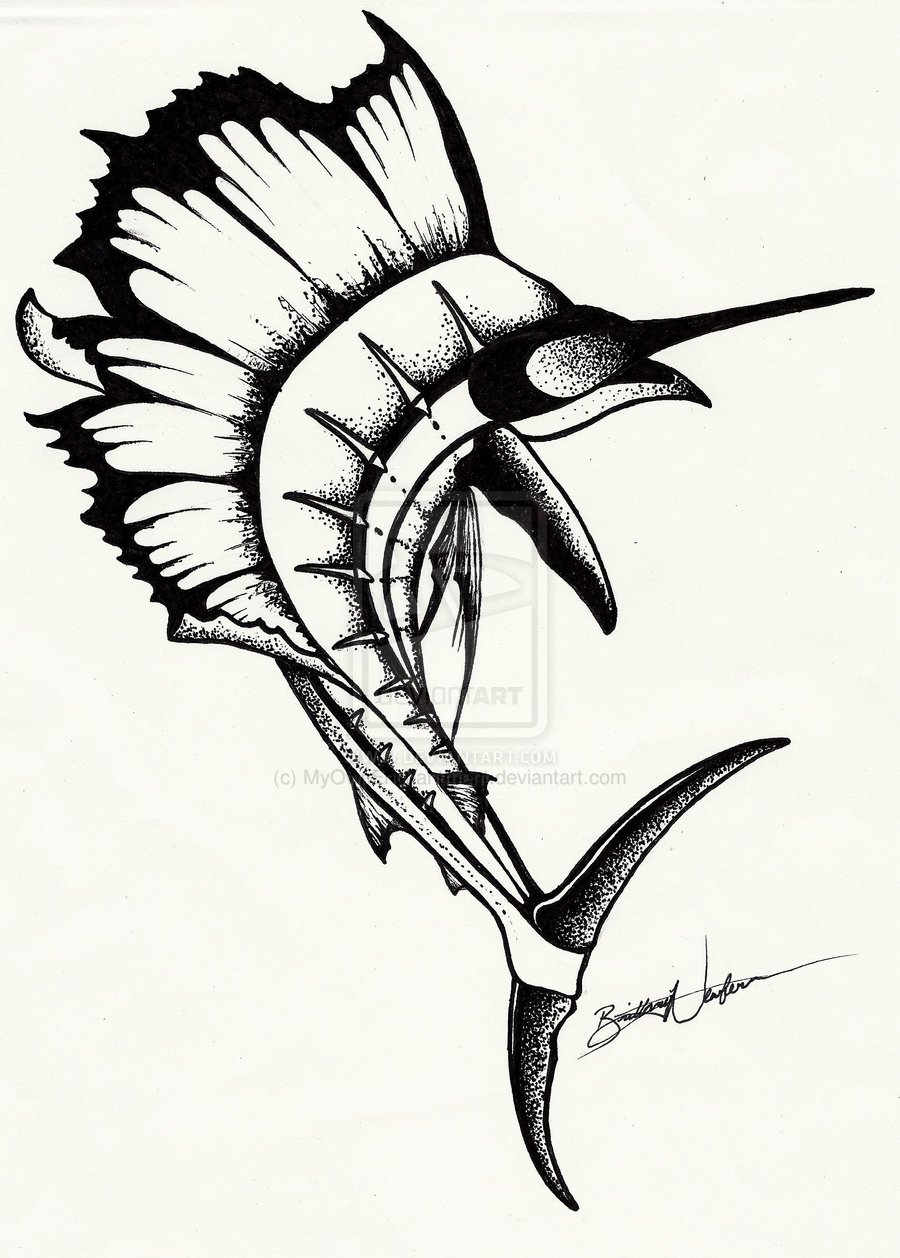 900x1258 Sailfish Drawing - Sailfish Drawing