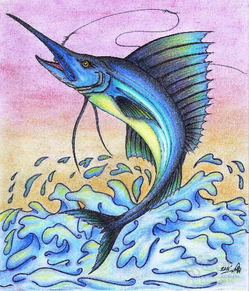 Sailfish Drawing at PaintingValley.com | Explore collection of Sailfish ...