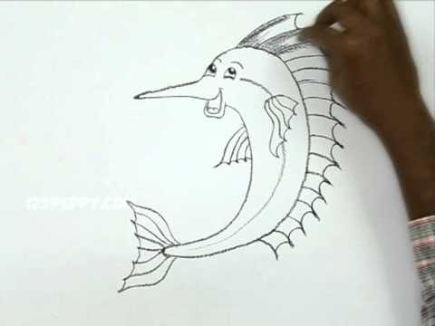 480x360 How To Draw A Cartoon Sailfish - Sailfish Drawing
