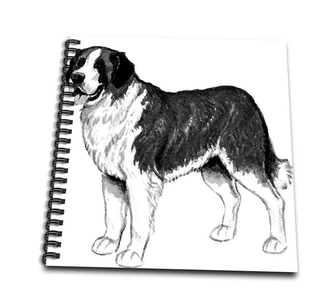 Saint Bernard Drawing