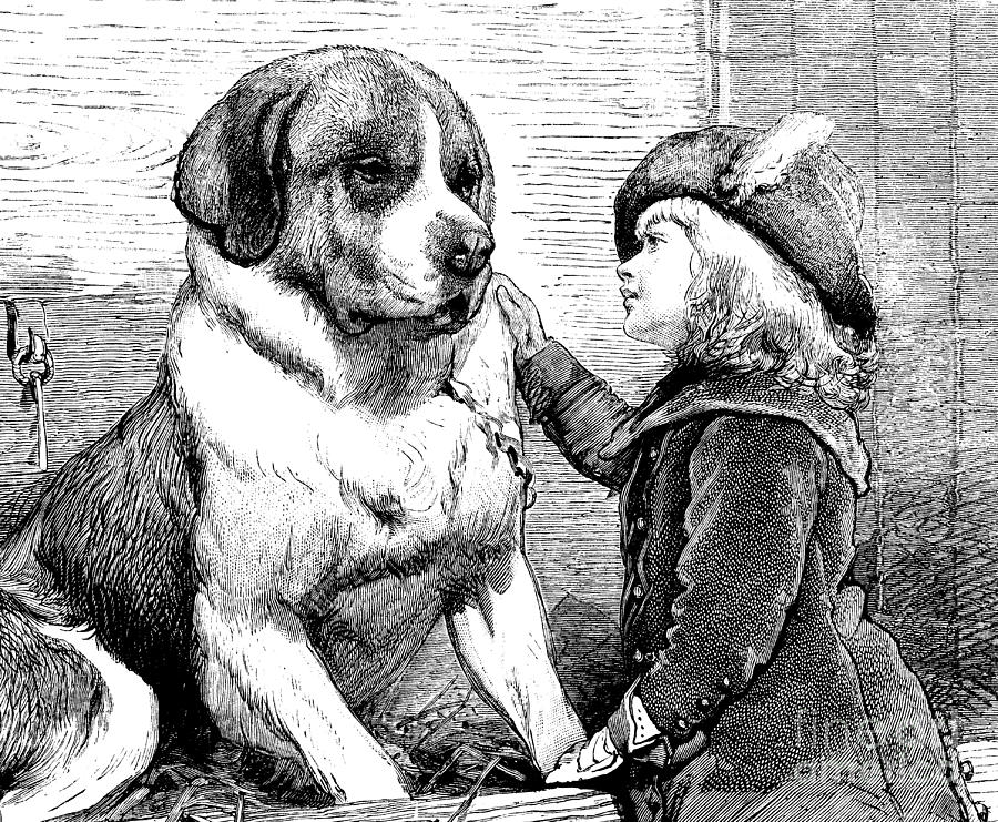 900x741 saint bernard and little girl drawing - Saint Bernard Drawing