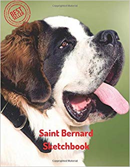 260x335 saint bernard sketchbook blank paper for drawing, doodling - Saint Bernard Drawing