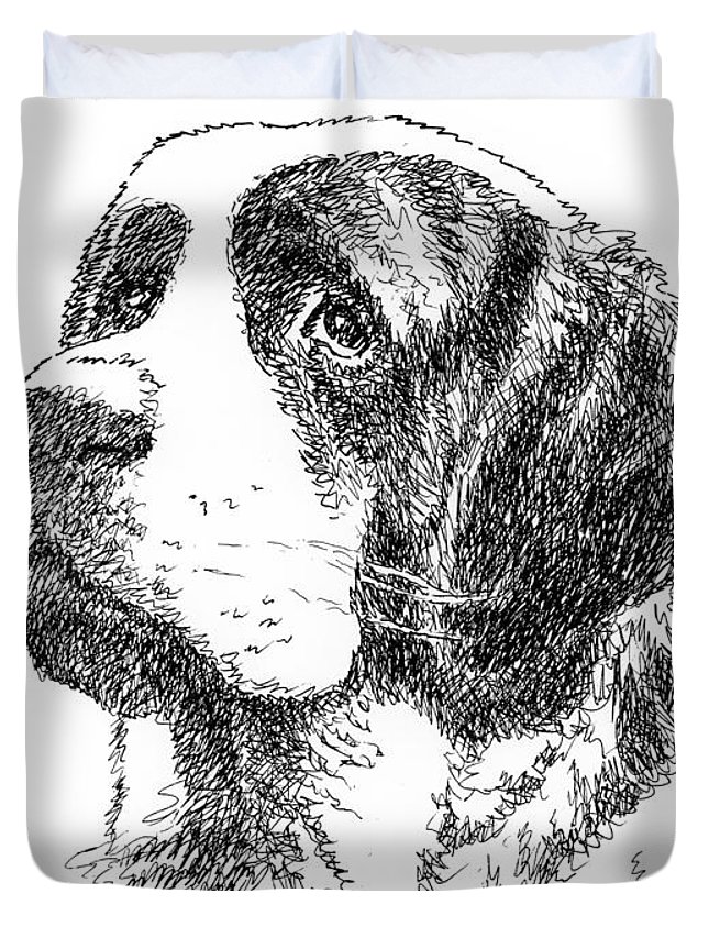 645x853 saint bernard drawing duvet cover for sale - Saint Bernard Drawing