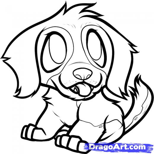 520x520 step how to draw a saint bernard puppy, st bernard puppy - Saint Bernard Drawing