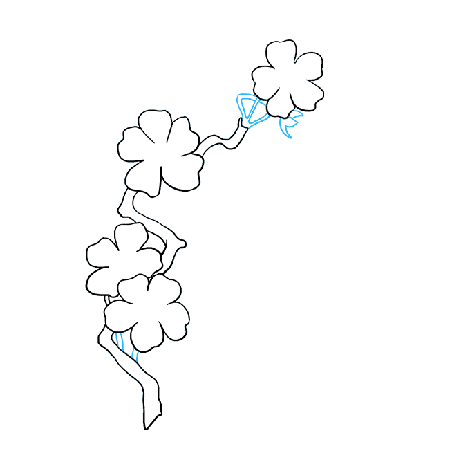 680x678 how to draw cherry blossoms - Sakura Blossom Drawing