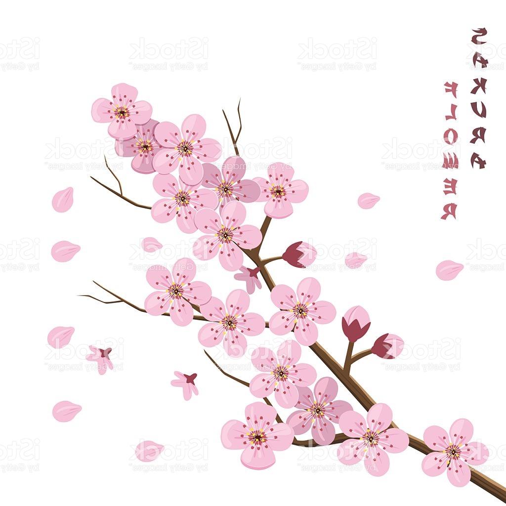 1024x1024 Best Hd Japanese Cherry Blossom Tree Art Vector Images Vector - Sakura Blossom Drawing