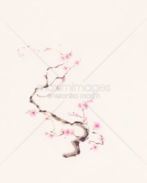 499x620 illustration of delicate curvy sakura branch with gentle pink - Sakura Branch Drawing