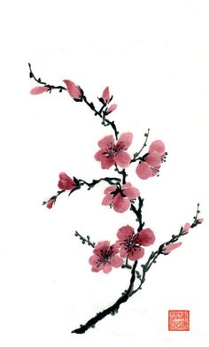 236x392 best cherry blossom drawing images murals, wall papers, wallpaper - Sakura Branch Drawing
