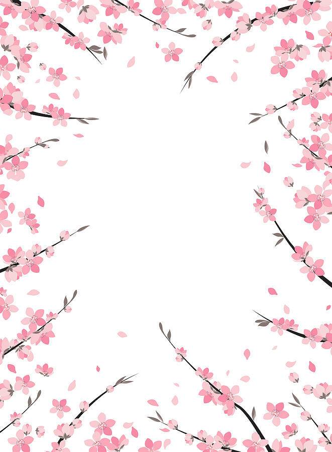 661x900 sakura branch decoration drawing - Sakura Branch Drawing