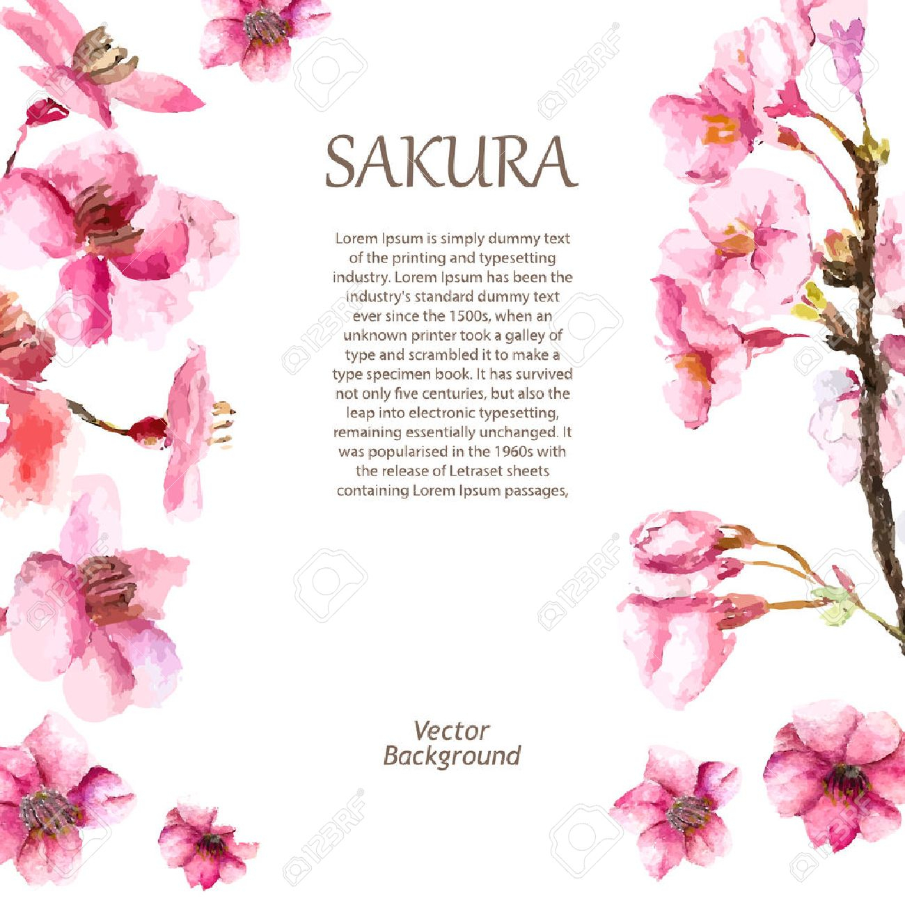 1300x1300 sakura drawing flower watercolor cherry blossom hand draw cherry - Sakura Branch Drawing