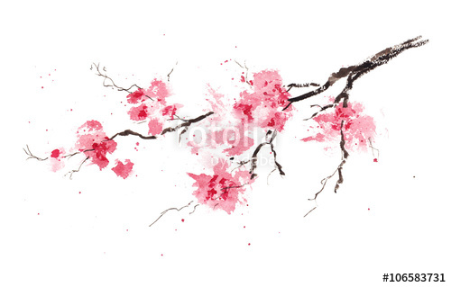 500x319 sakura branch original watercolor painting stock photo - Sakura Branch Drawing