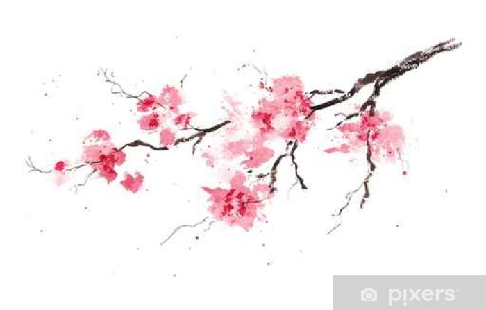 700x447 sakura branch original watercolor painting wall mural pixers - Sakura Branch Drawing