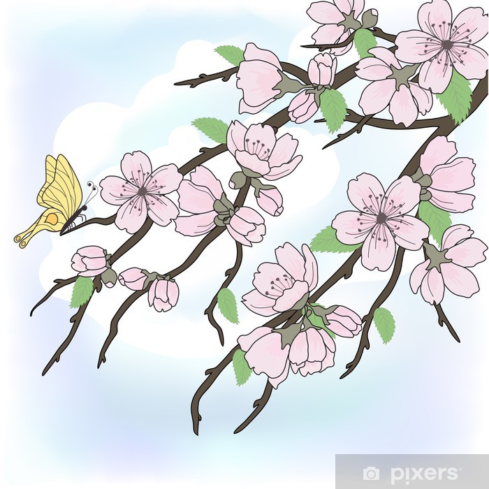 700x700 beautiful vector sakura branch with flowers on sky wall mural - Sakura Branch Drawing