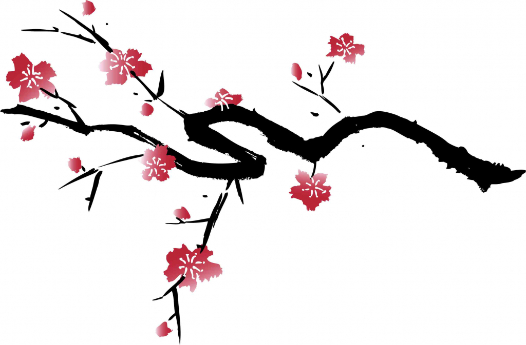 1024x673 drawn sakura blossom branch - Sakura Branch Drawing