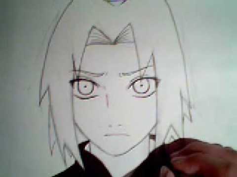 480x360 drawing sakura - Sakura Drawing