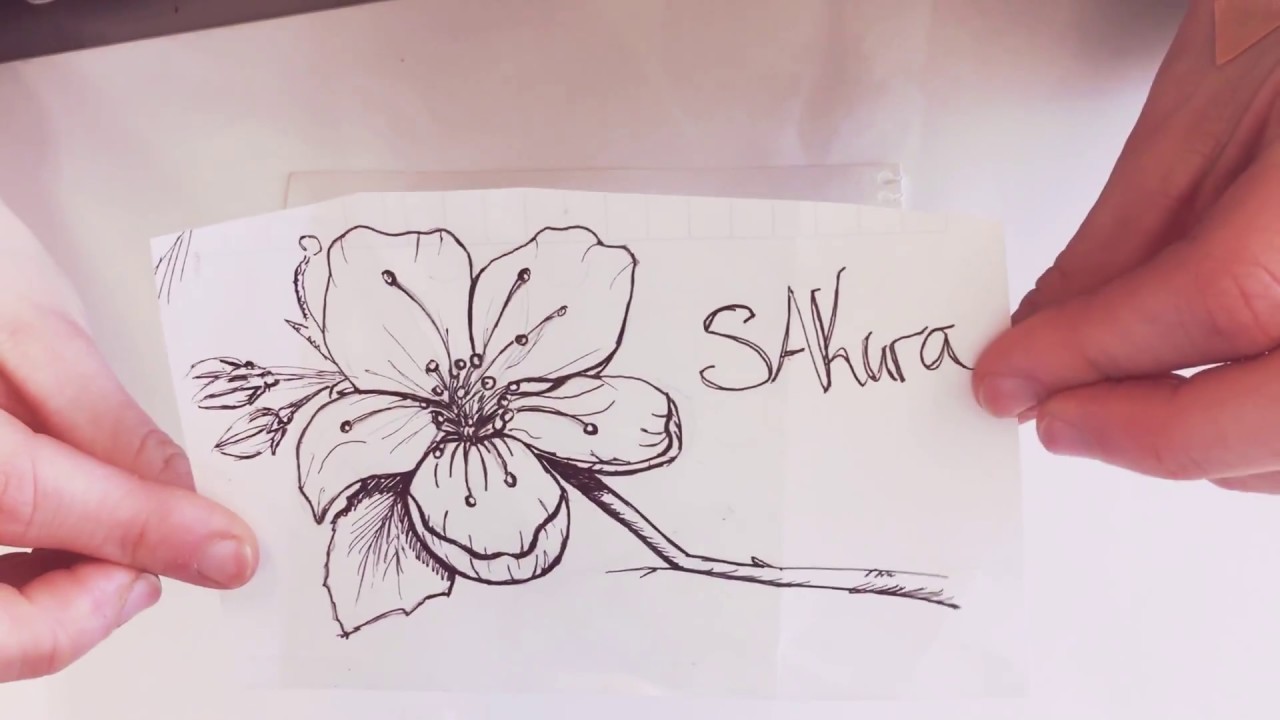 1280x720 sakura flower drawing tutorial + drawing warm up - Sakura Flower Drawing