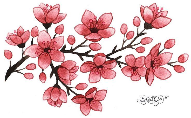 736x457 sakura flower embossing - Sakura Flower Drawing