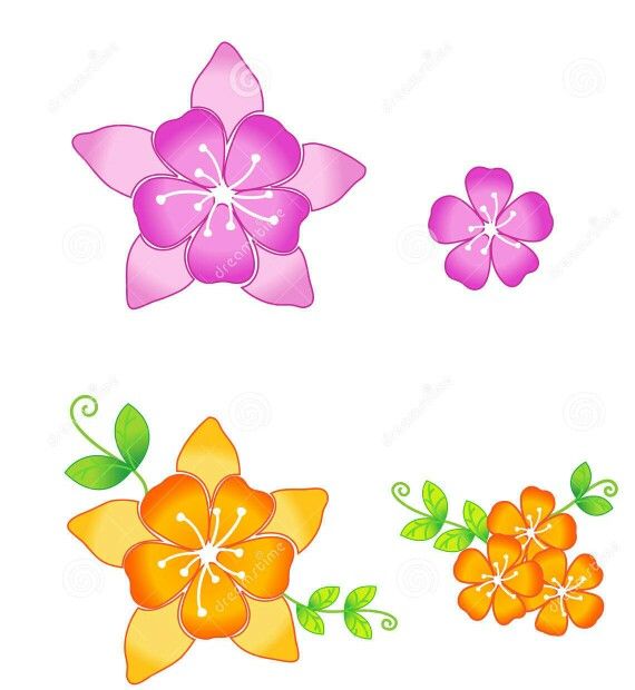 570x620 best sakura flowers drawing images how to draw - Sakura Flower Drawing