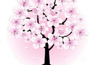 300x210 Easy Cherry Blossom Drawing - Sakura Tree Drawing