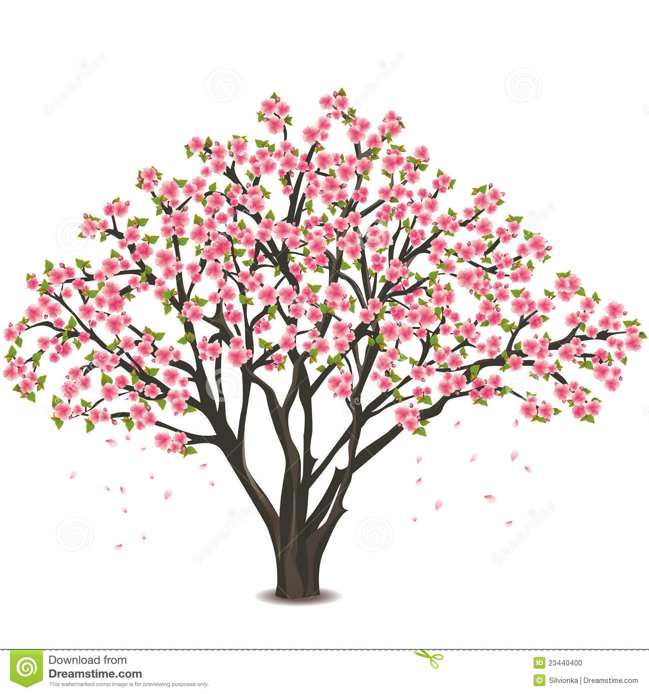 1300x1390 Cherry Blossom Tree Drawing - Sakura Tree Drawing