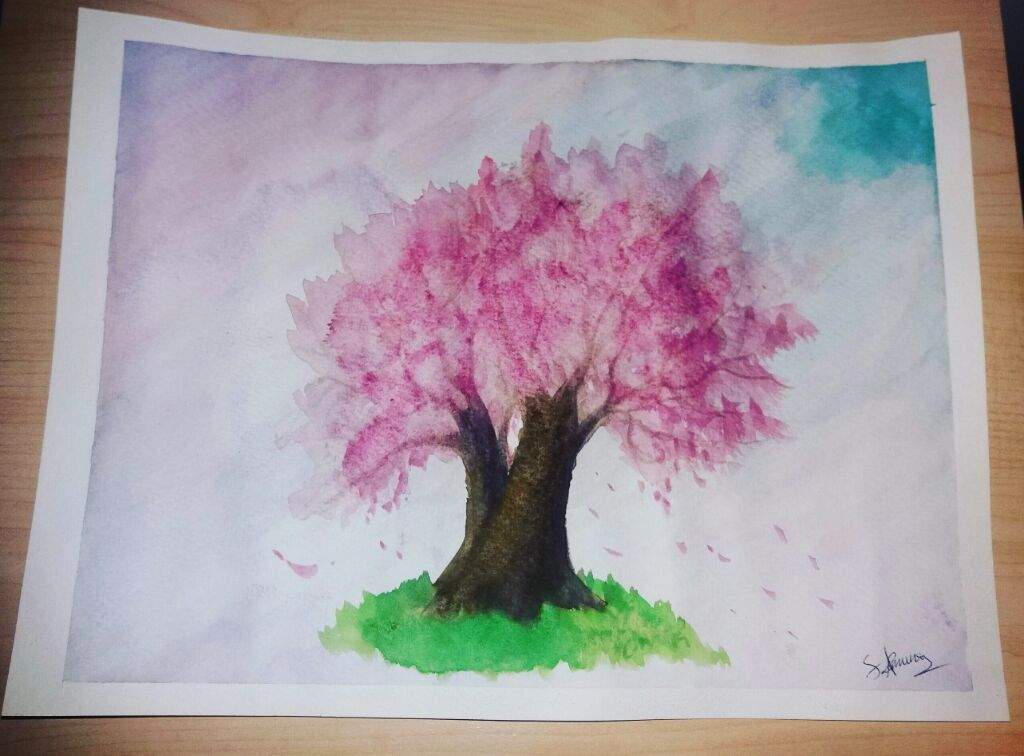1024x756 watercolor sakura tree drawing japan amino - Sakura Tree Drawing