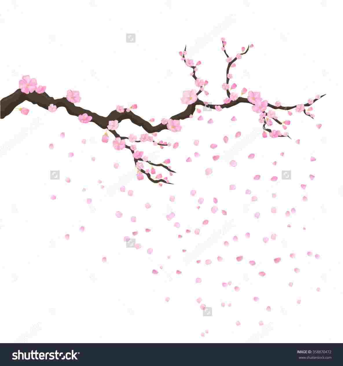1185x1264 How Sakura Trees Drawing To Draw A Japanese Cherry Tree Time - Sakura Tree Drawing