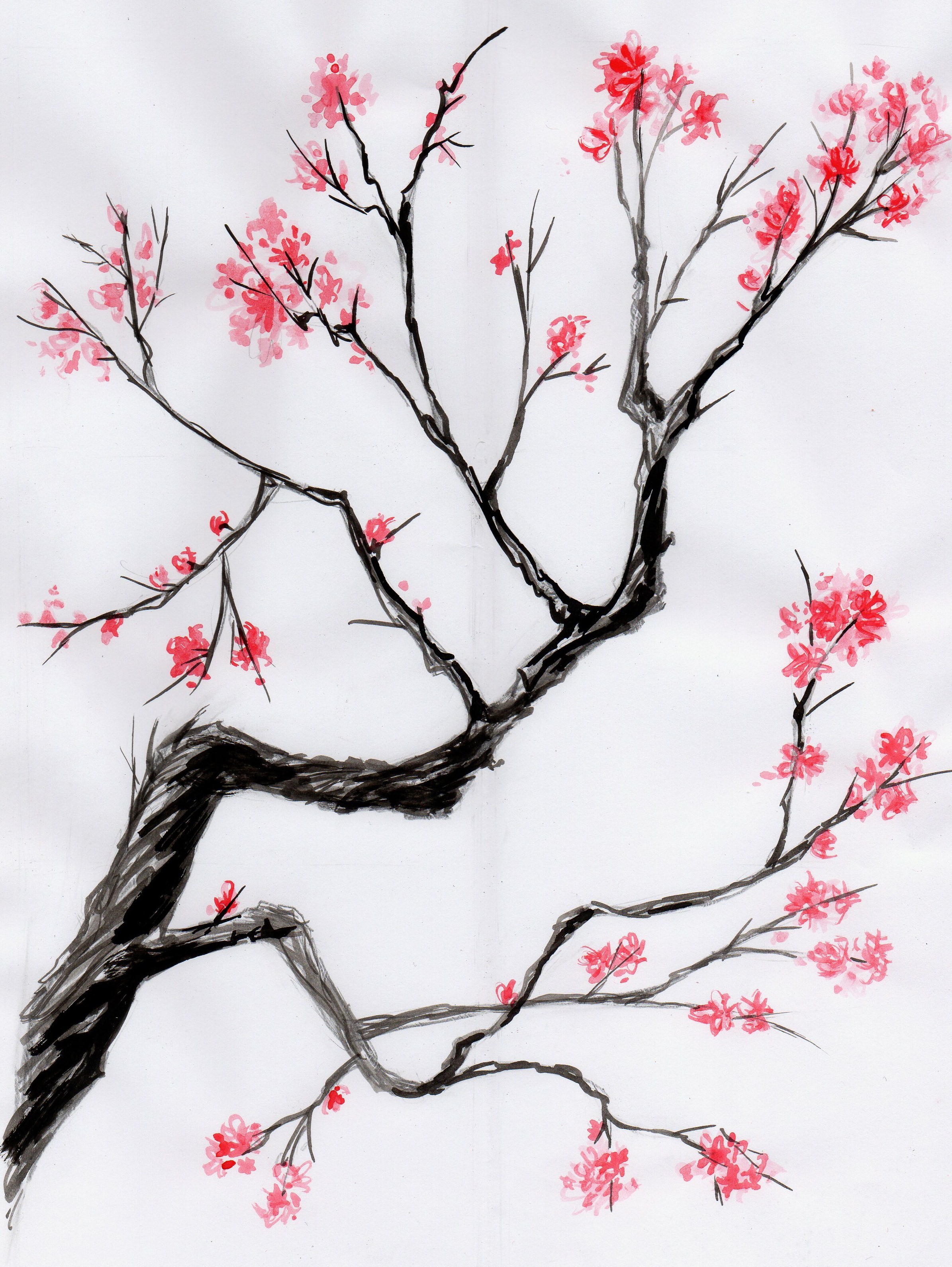 Sakura Tree Drawing at Explore collection of