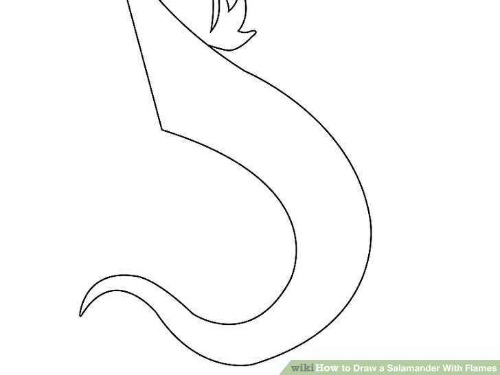 728x546 How To Draw A Salamander With Flames Steps - Salamander Drawing