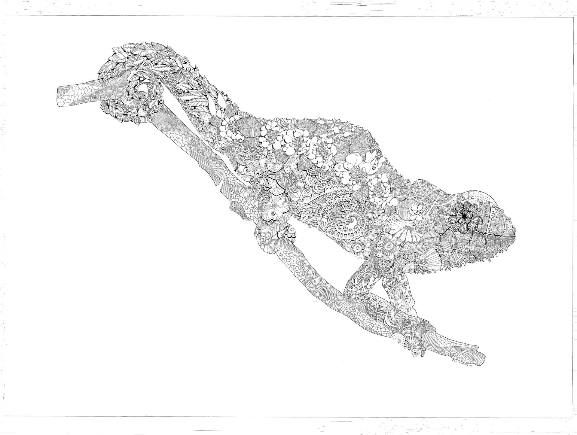 1920x1448 Salamander Iv Drawing - Salamander Drawing