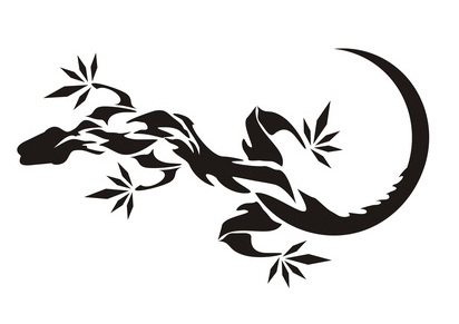 412x291 Salamander Patterns - Salamander Drawing