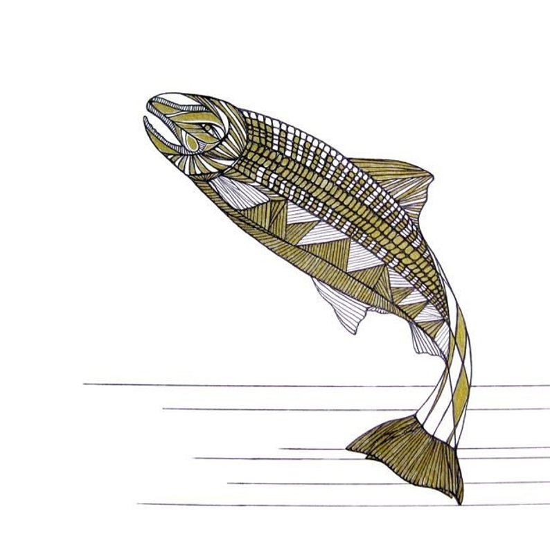 794x794 salmon line drawing art - Salmon Drawing