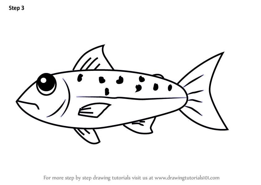 844x598 Learn How To Draw A Salmon Fish For Kids - Salmon Drawing Image