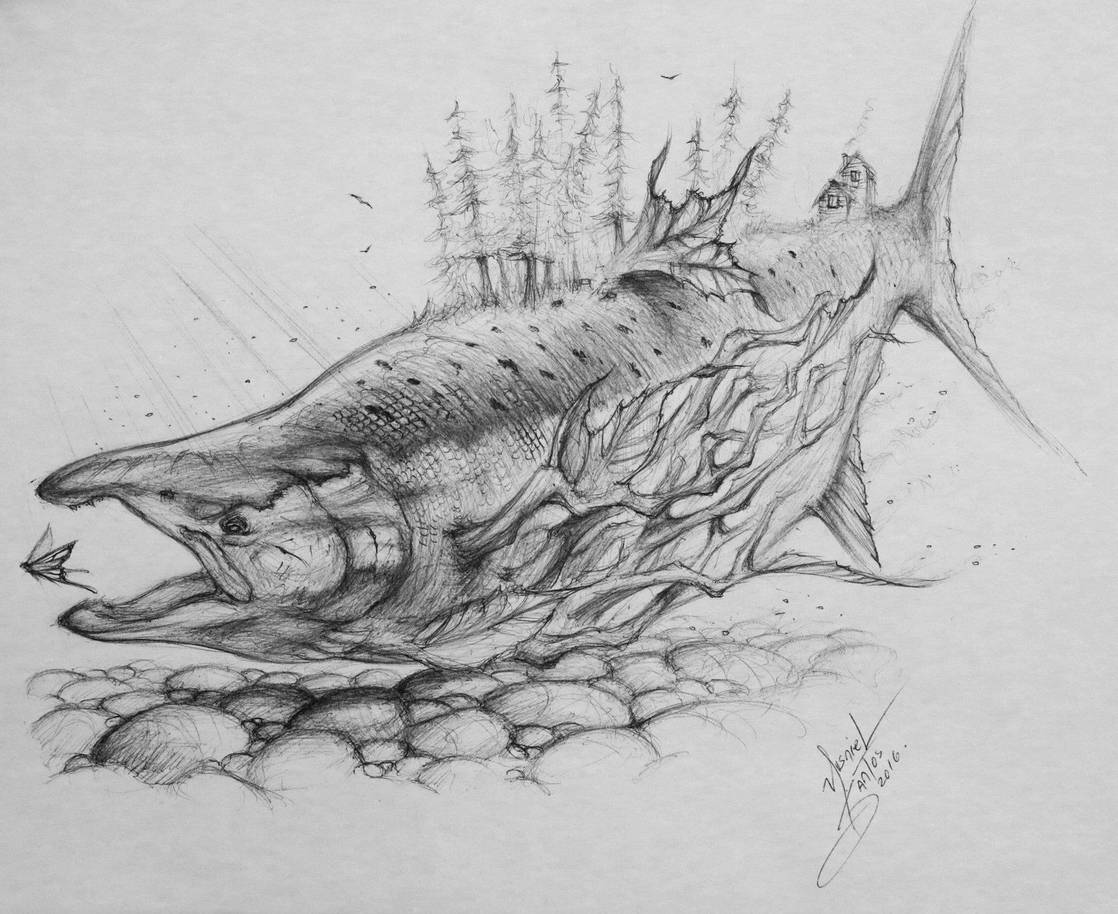 1600x1309 Original Drawing - Salmon Drawing Image