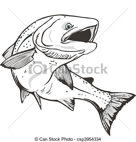 450x470 Salmon Fish King Salmon Fish Hand Drawn - Salmon Drawing Image