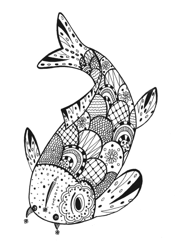 593x840 Easy Pictures Of Fish To Draw Salmon Fish Drawing How To Draw - Salmon Fish Drawing